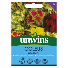 5051618010603 1 Coleus Warpaint Seeds.jpg